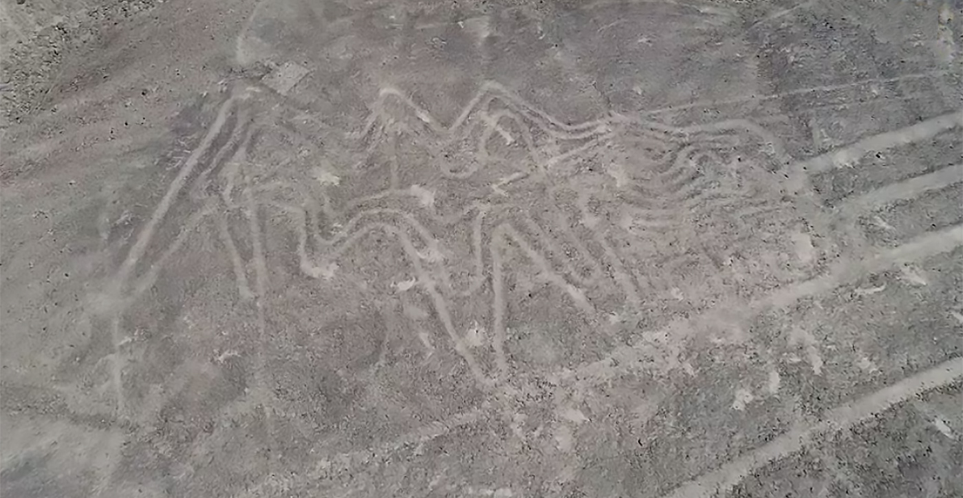 More Than 50 New 'Nazca Lines' Discovered In Peruvian Desert - The ...