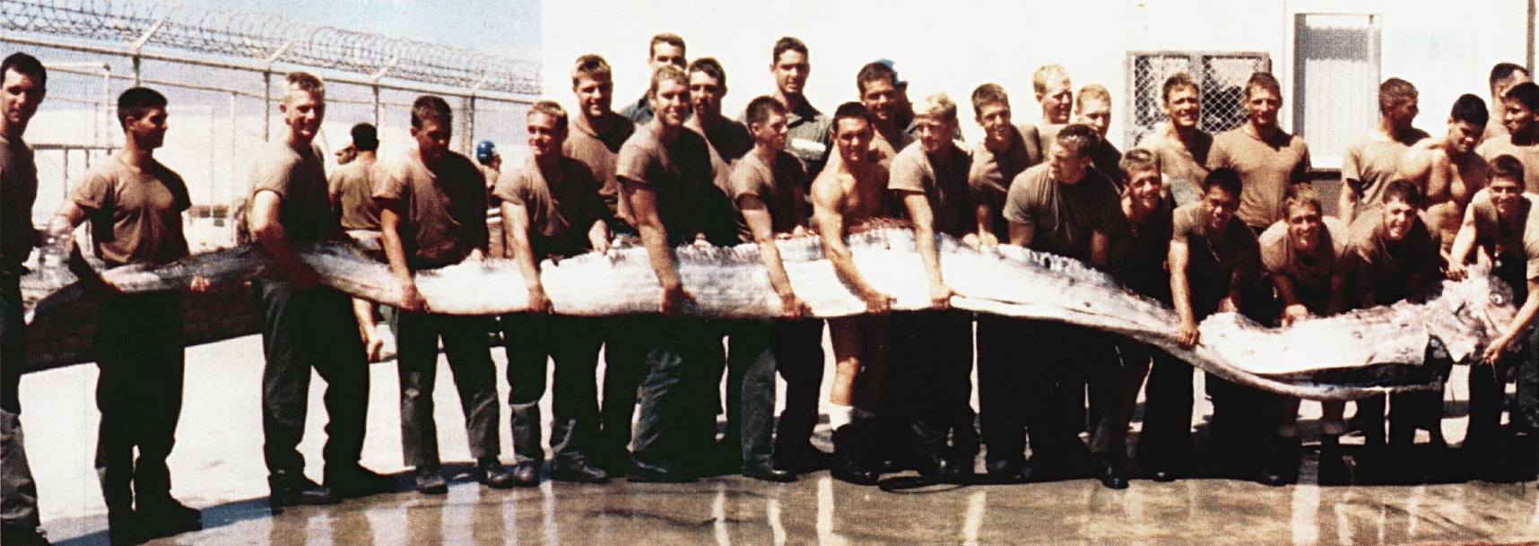 Were these California oarfish beachings harbingers of an earthquake